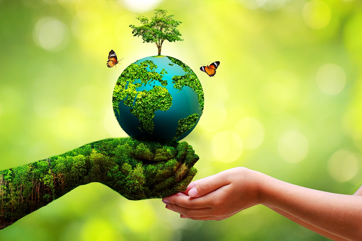 The Time for Action is Now: Join the Fight to Save Our Planet
