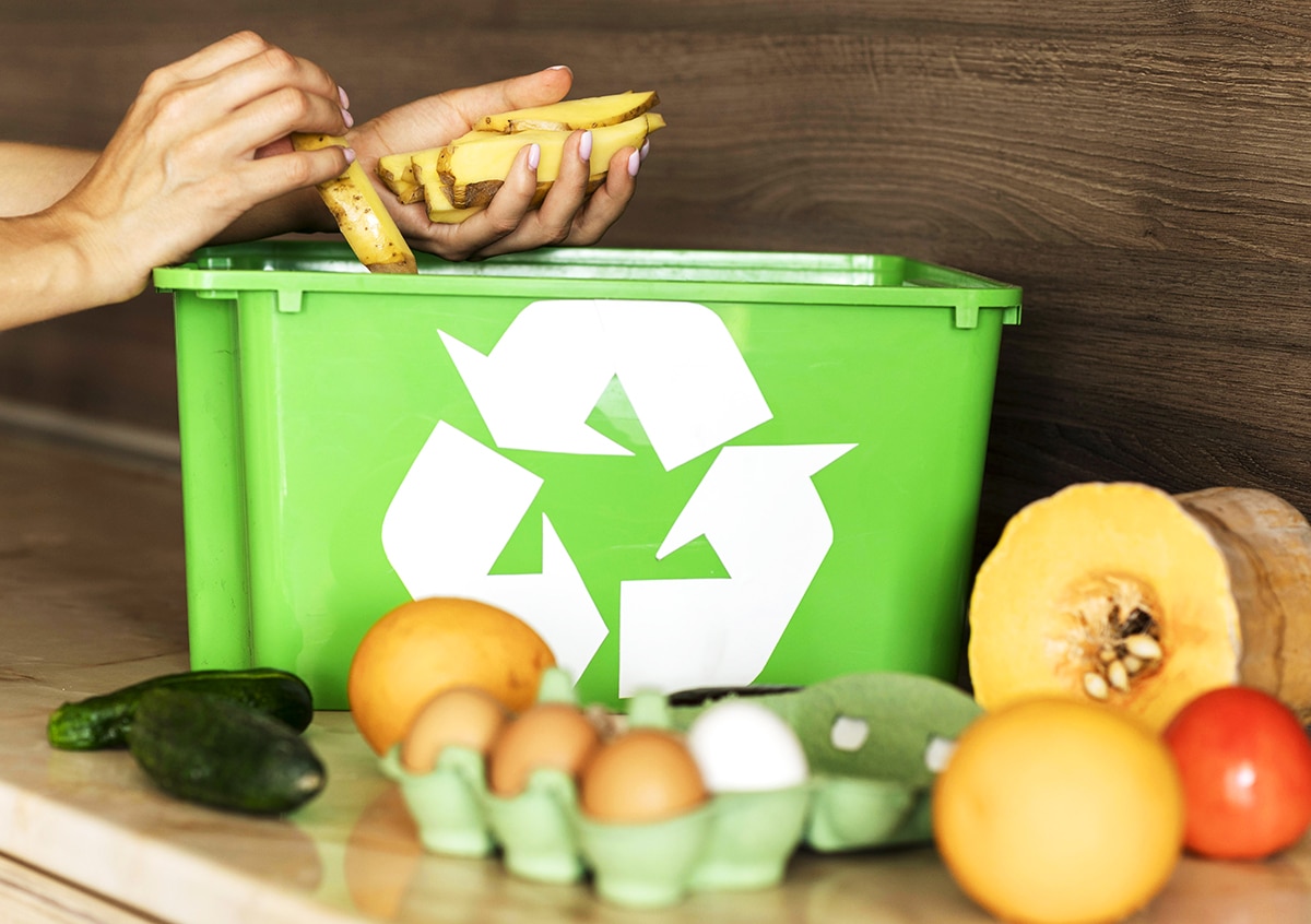 Join the movement! Discover how waste reduction can save the planet and your wallet