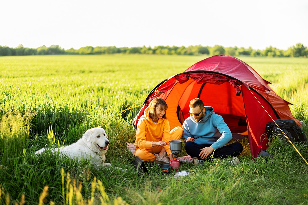 Unplug and Connect with Nature: Why Camping is the Ultimate Getaway